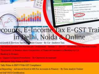 is-an-accounting-course-worth-it-in-2025-job-market-insights-get-best-accounting-certification-course-in-delhi-110004-by-sla