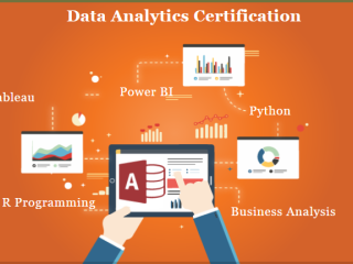 why-data-analyst-professionals-will-be-highly-sought-after-in-2025-100-placement-in-mnc-data-analyst-training-course-in-delhi-110022-by-sla
