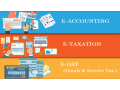 how-an-accounting-course-can-secure-your-job-in-the-evolving-2025-market-100-job-accounting-certification-course-in-delhi-110049-by-sla-small-0