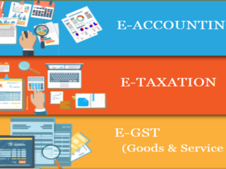 how-an-accounting-course-can-secure-your-job-in-the-evolving-2025-market-100-job-accounting-certification-course-in-delhi-110049-by-sla