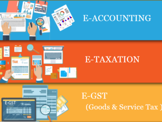 how-an-accounting-course-can-future-proof-your-career-in-2025-100-job-accounting-certification-course-in-delhi-110039-by-sla